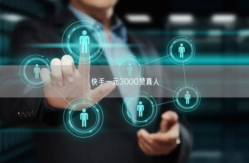 快手一元3000赞真人