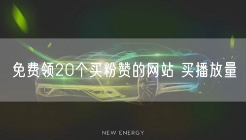 免费领20个买粉赞的网站 买播放量