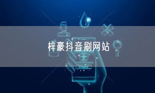 梓豪抖音刷网站
