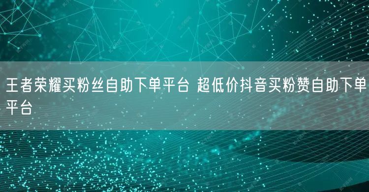 王者荣耀买粉丝自助下单平台 超低价抖音买粉赞自助下单平台