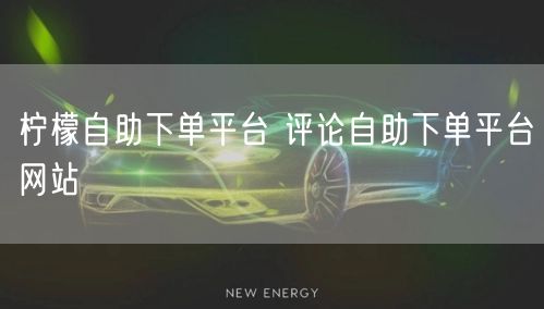 柠檬自助下单平台 评论自助下单平台网站