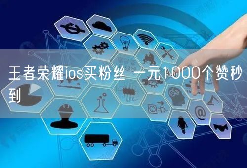 王者荣耀ios买粉丝 一元1000个赞秒到