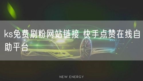 ks免费刷粉网站链接 快手点赞在线自助平台