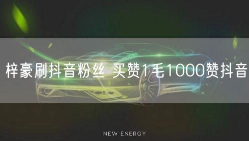 梓豪刷抖音粉丝 买赞1毛1000赞抖音